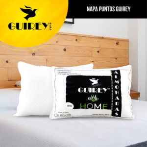 Napa puntos Guirey