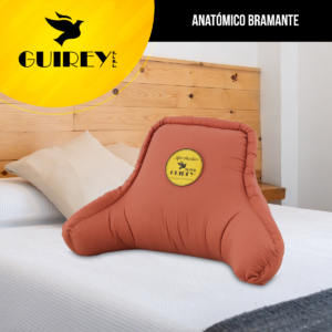 Anatómico bramante color entero