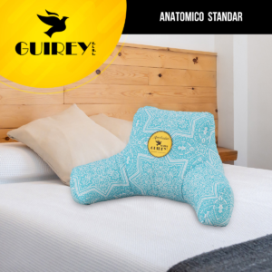 Anatómico standar